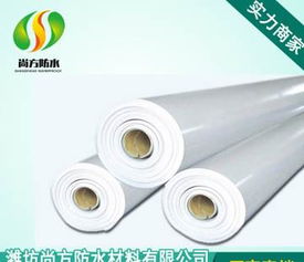 聚氯乙烯（PVC）防水卷材 建筑防水的可靠选择